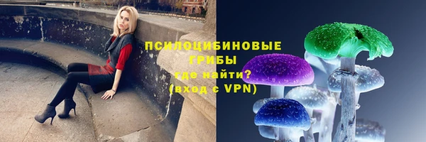 ALPHA PVP Семёнов