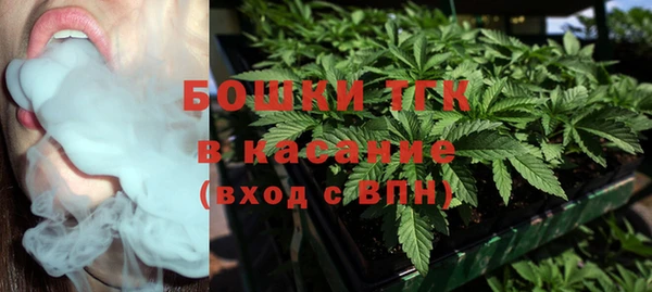 стаф Богородицк